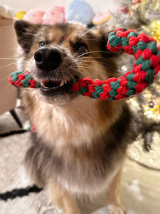 Candy Cane Chew Toy