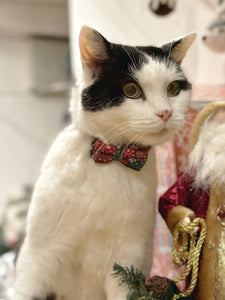 Catmas Collar