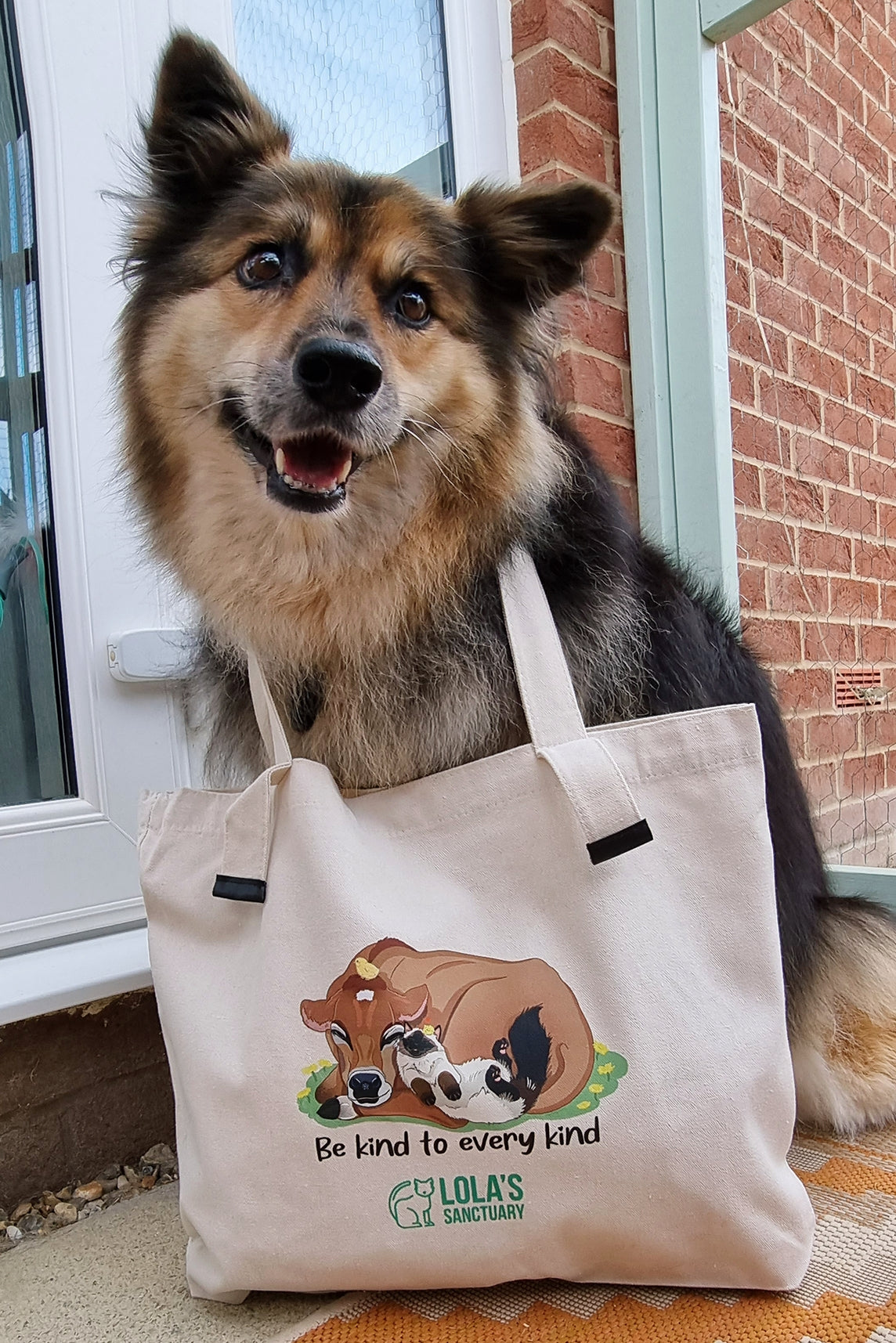 Who said you can't look good and spread awareness about animal welfare at the same time? This bag is made from durable canvas material, perfect to use in hand or over the shoulder.